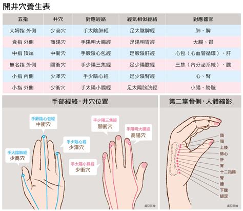 中指代表器官|手指中藏着养生密码